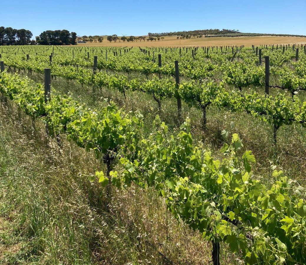 Willa Belalie Wines Jamestown Zewnętrze zdjęcie